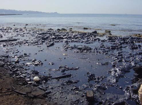 1056Preparedness and Response to Oil spills: Focusing on the international legal framework, Jeddah-Saudi Arabia 24-26 November 2020