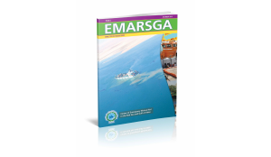 EMARSGA Issue 2_2010