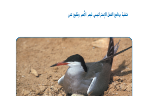 SAP Annual Report 2002 (Arabic)
