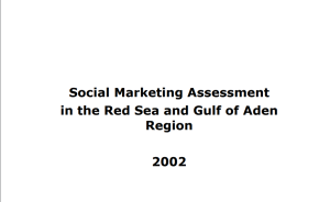Social Marketing 2002